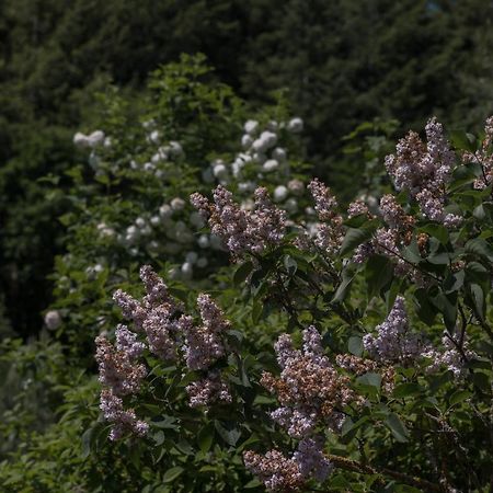 Ferienwohnung Schwalbennest Weinsheim  Bagian luar foto
