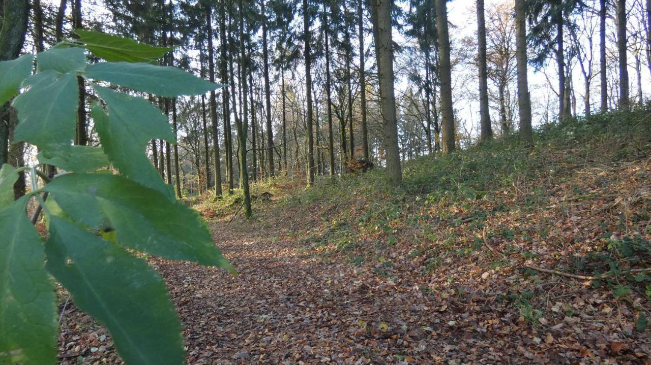 Ferienwohnung Schwalbennest Weinsheim  Bagian luar foto