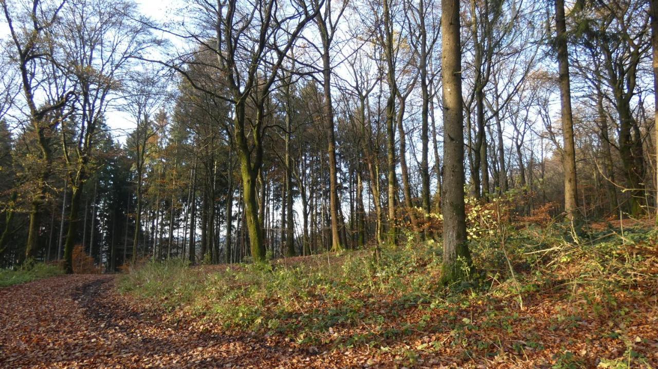 Ferienwohnung Schwalbennest Weinsheim  Bagian luar foto